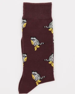 Raccoon Socks