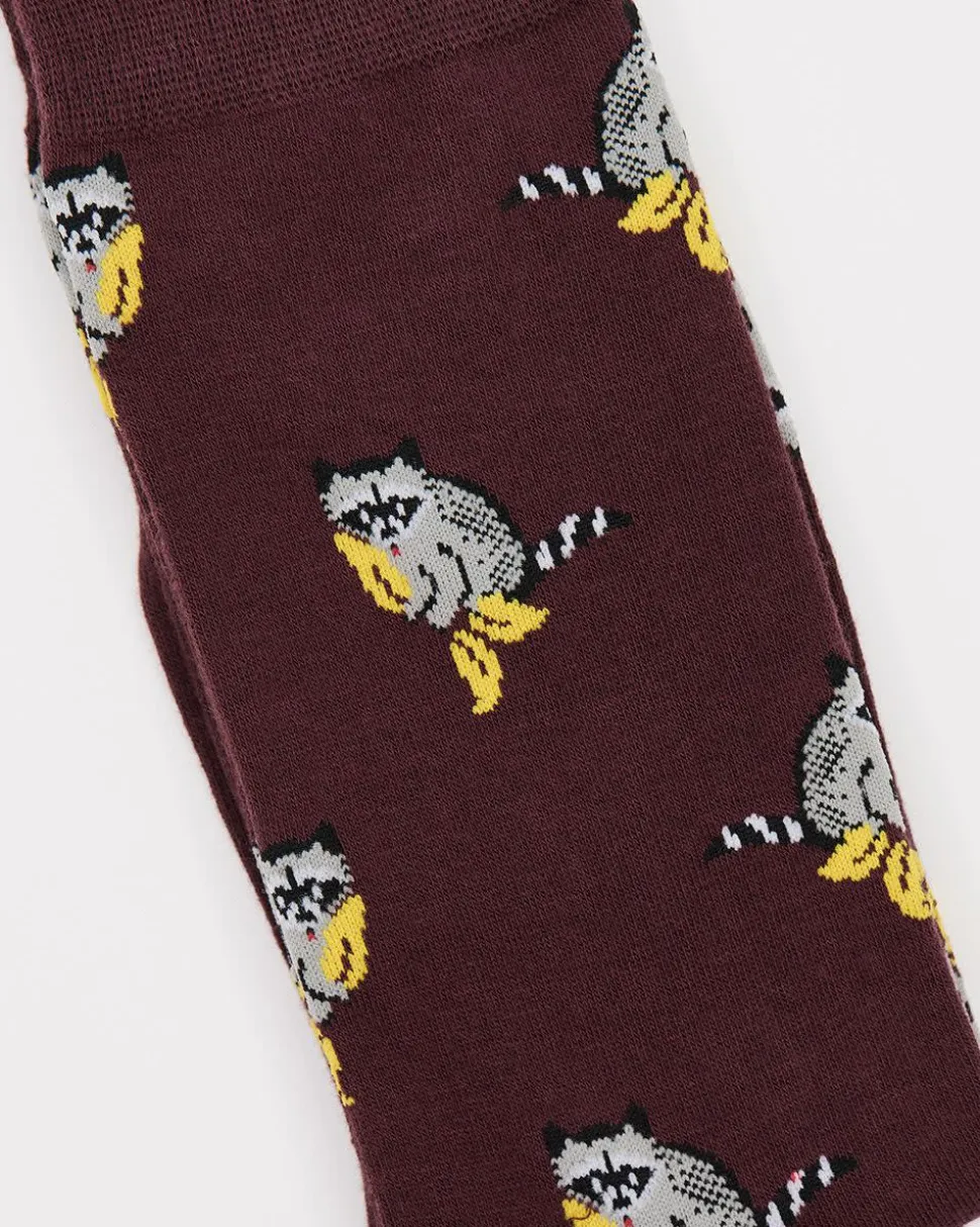 Raccoon Socks