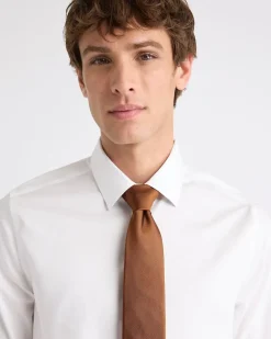 Rust Textured Regular Tie
