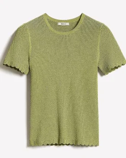 Short-Sleeve Crew-Neck Textured-Knit Sweater