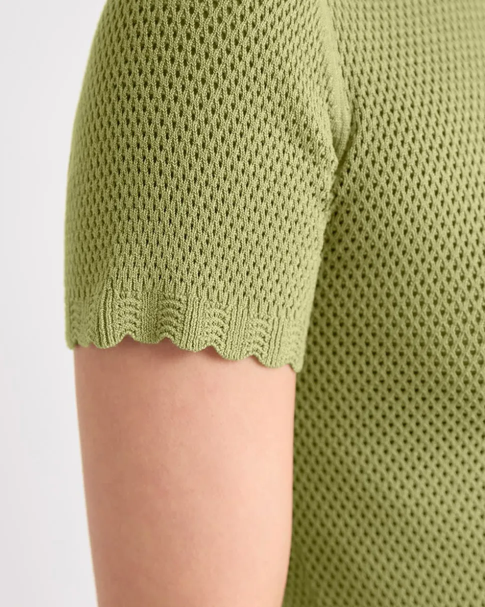 Short-Sleeve Crew-Neck Textured-Knit Sweater