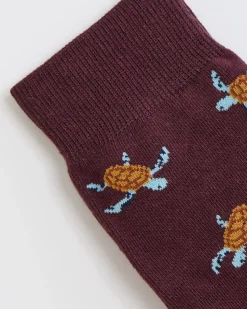 Turtle Socks